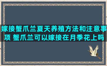 嫁接蟹爪兰夏天养殖方法和注意事项 蟹爪兰可以嫁接在月季花上吗